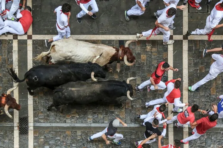 Corrida de touros em Pamplona, na região de Navarra
